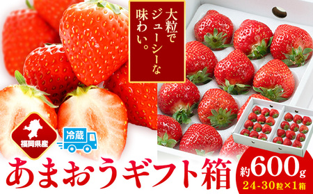 福岡県産 あまおう ギフト箱 約600g 南国フルーツ株式会社《2026年12月上旬-2027年3月末頃出荷》福岡県 鞍手町 あまおう いちご イチゴ 送料無料【配送不可地域あり】