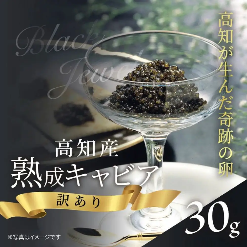 訳あり 高知産熟成キャビア30g シェルスプーン付