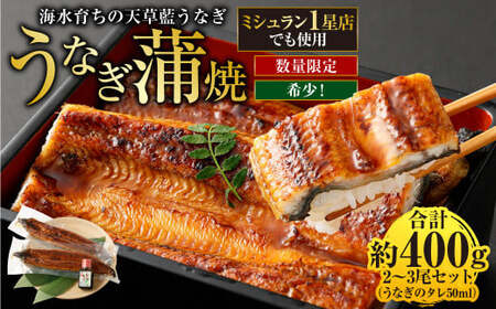 海水育ちの天草藍うなぎ 蒲焼 2～3尾セット 合計約400g タレ付き うなぎ 鰻 ウナギ 蒲焼き かば焼き うなぎの蒲焼 魚 お魚 父の日