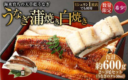 海水育ちの天草藍うなぎ 紅白3～4尾セット 合計約600g タレ付き うなぎ 鰻 ウナギ 蒲焼き かば焼き うなぎの蒲焼 魚 お魚 父の日