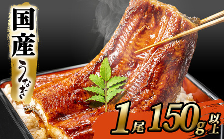  2026年4月発送 国産 うなぎ 蒲焼き 1尾 150g以上 うなぎ K2465