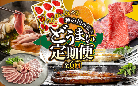豊橋 どうまい 定期便 プレミアム 全6回 鴨 鍋 / いちご / うなぎ / みかん / ステーキ / 和牛 牛肉 定期 高評価 お楽しみ 鴨肉 フルーツ 鰻 苺  冷凍 訳あり 海鮮 半年 6回 期間限定 数量限定 定期 6ヵ月