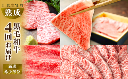 黒毛和牛 みかわ牛 希少部位 定期便4回 牛肉