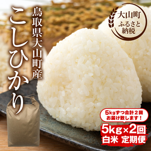 【令和8年10月以降発送新米】MS-99　頒布会（大山町産こしひかり【大山の一粒】白米5ｋｇ×2回）