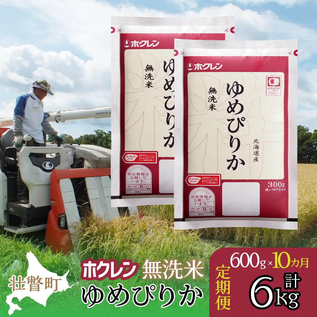 【令和7年産米】【10ヶ月定期配送】（無洗米600g）ホクレンゆめぴりか SBTD155