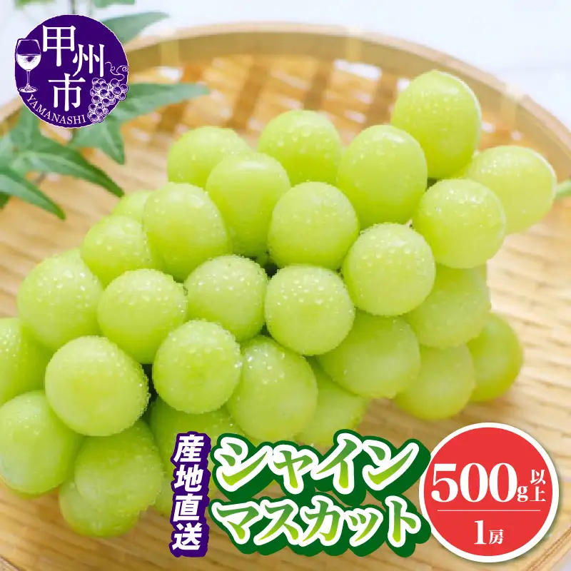 池田青果 厳選 シャインマスカット 500g以上 1房【2026年発送】（IS）A08-466 シャインマスカット フルーツ