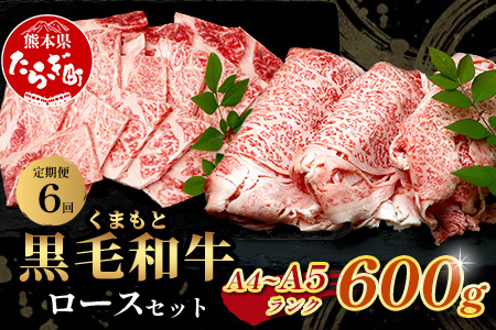 【定期便6回】A4・A5 くまもと黒毛和牛 ロース セット 計600g ( すき焼き / 焼肉 各300g )×6回 お届け 本場 熊本県 ブランド 牛 黒毛 和牛 厳選 A4以上 肉 上質 熊本県 すきやき 焼き肉 113-0515