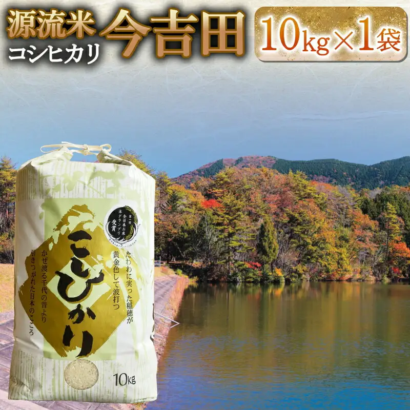 精米 コシヒカリ 10kg 「源流米 今吉田」 2025年産 米どころ北広島町のおいしいお米_KI108_002