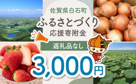 【返礼品なし】佐賀県白石町 ふるさとづくり応援寄附金（3000円分）  [IZY004]