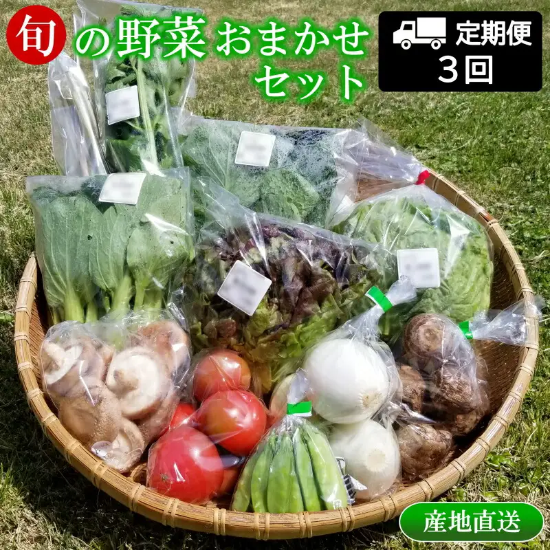 『定期便』全3回 野菜 おまかせセット 毎月届く定期便 旬 道の駅直送 季節野菜 豊平どんぐり村 さんさん市_SA073_001s3
