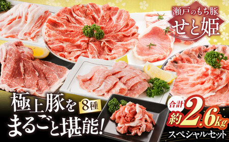豚肉スペシャルセット約2,560g [BAER028] 豚肉
