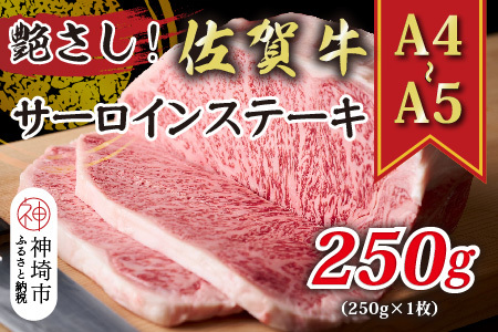 【A4～A5】佐賀牛サーロインステーキ 250g(250g×1枚)(H112104)