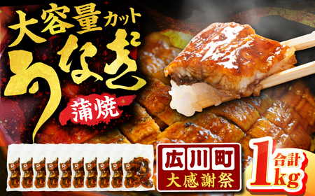 【大感謝祭：寄附額見直し】きざみうなぎ 計1kg / きざみ うなぎ[AFBS001]