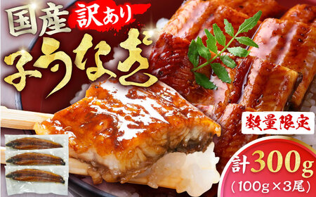 【訳あり】国産うなぎ（100g×3尾） / うなぎ 鰻[AFBS009]