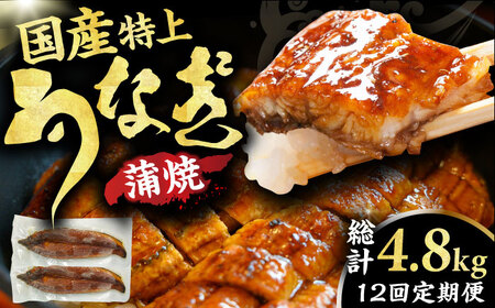 【12回定期便】国産鰻蒲焼　特上品（200g×2尾） / 鰻 うなぎ ウナギ 蒲焼 蒲焼き かば焼き うなぎ 鰻 国産ウナギ 鰻[AFBS016] うなぎ ウナギ うなぎ 鰻
