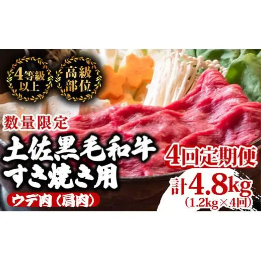 【 すき焼き 】 すき焼きウデ肉黒毛和牛4ヶ月