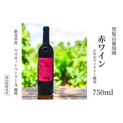 黒髪山葡萄園 赤ワイン 750ml ふなおワイナリー醸造 1本