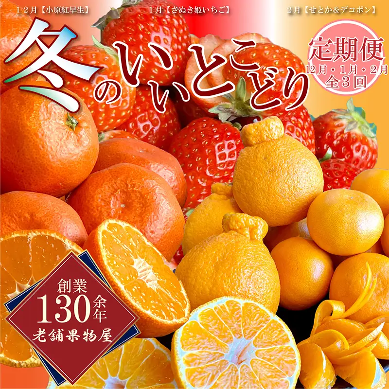 冬のいいとこどり定期便【全3回】 果物定期便 フルーツ フルーツ