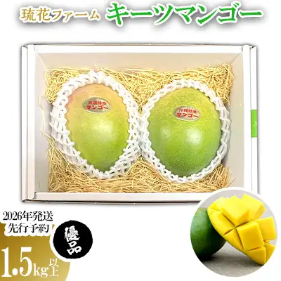 マンゴー【2026年発送先行予約】キーツマンゴー優品1.5kg以上