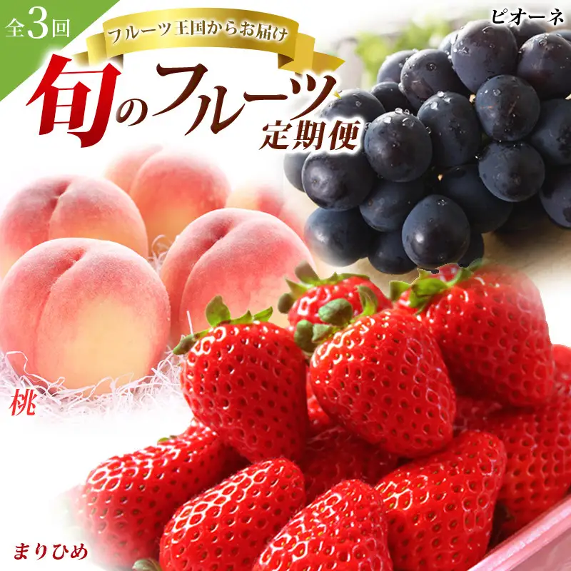 フルーツ定期便 全3回 いちご・桃・ピオーネ フルーツ【tkb401】