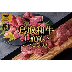 鳥取和牛1頭買い いいとこ取り 12か月定期便  TB4|和牛