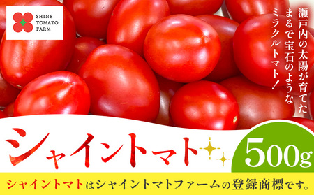 シャイントマト 500g ミニトマト