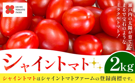 シャイントマト 2kg ミニトマト
