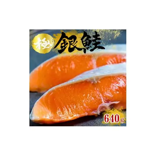 本格銀鮭甘塩切身セット 8切 640g / 鮭 切り身 個包装 冷凍 さけ サケ しゃけ 銀鮭 千葉県 匝瑳市