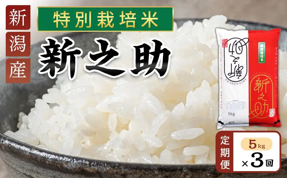 【定期便】新之助（特別栽培米）5kg×3ヶ月連続お届け | 米　お米　新潟　新潟県