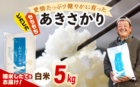 【先行予約】令和8年産 愛情たっぷり健やかに育った ピカピカ もちもち あきさかり（白米）5kg【2026年10月上旬以降順次発送予定】白米 あきさかり  [m29-a026] 