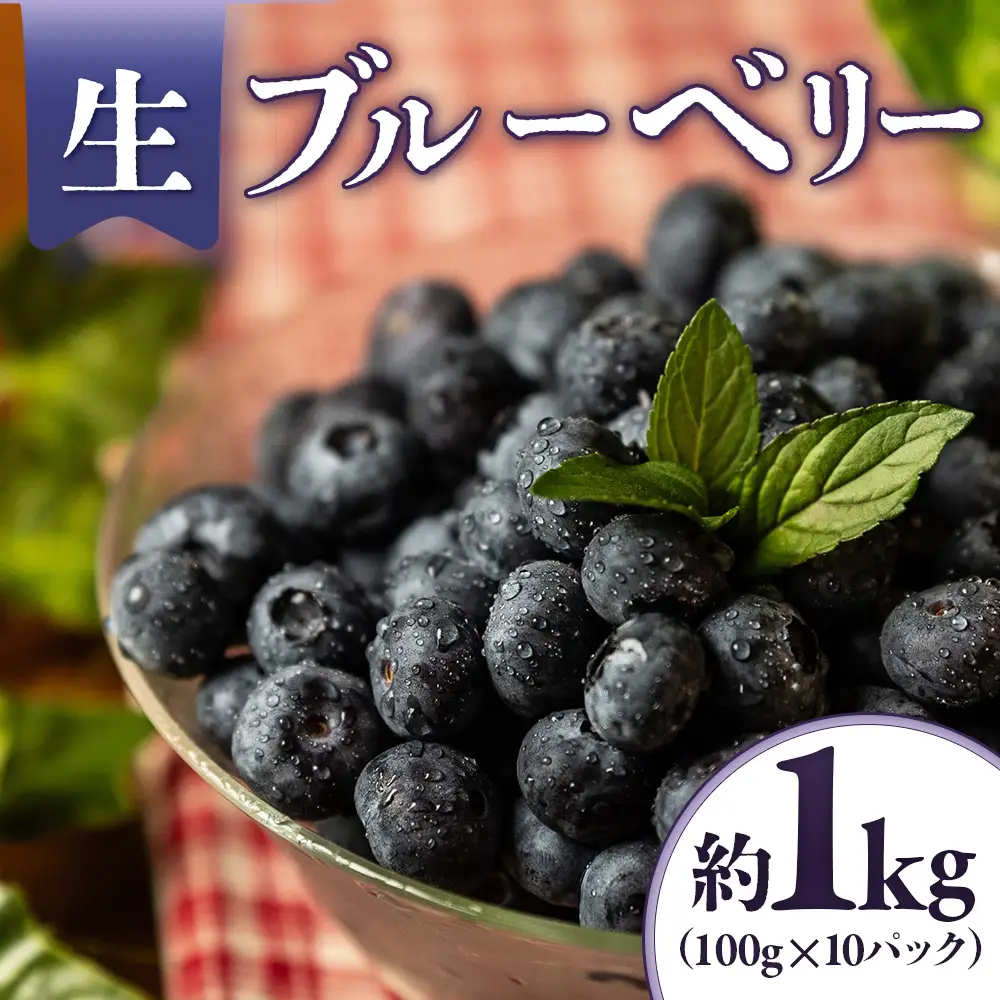 A-118　生ブルーベリー 約1kg（100g×10パック）＜2026年発送　先行予約＞ 