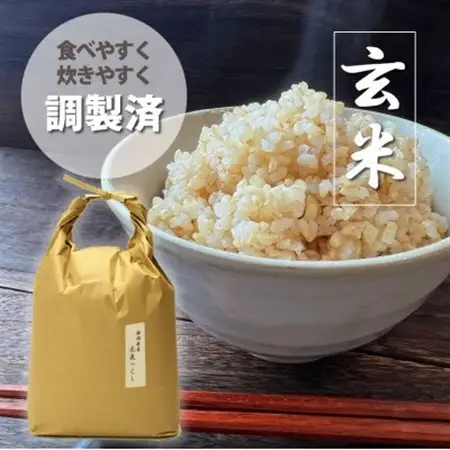 令和7年産 福岡県産「元気つくし」5kg×1袋 [5kg] [玄米]_ 玄米 米 こめ コメ_【1550489】