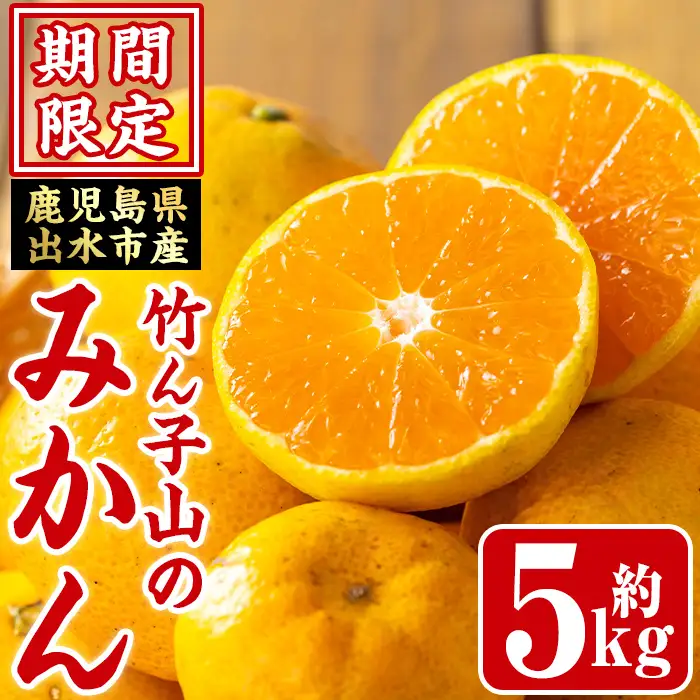 いずみ産 竹ん子山 の みかん 約5kg みかん 【イーサイドライン】 i1030