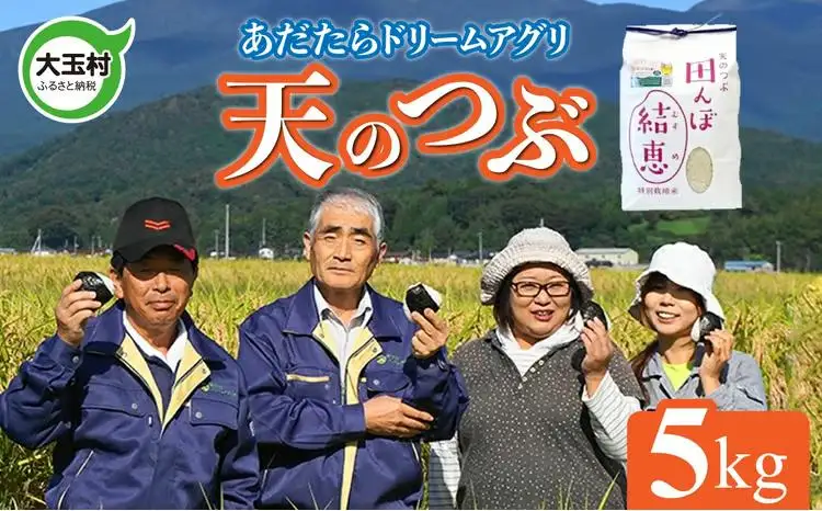 特別栽培米 5kg 白米 天のつぶ 特別栽培米 精米