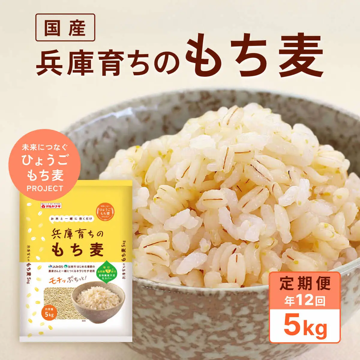 【定期便12回発送】兵庫育ちのもち麦5kg　[食物繊維 もちむぎ キラリモチ 国産 健康 加東市]