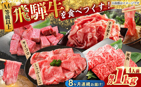 【8回定期便】 飛騨牛 プレミアム 定期便 4人前 ( しゃぶしゃぶ × すき焼き × サイコロステーキ × 焼肉 ) 各1kg [TAZ049]すき焼き