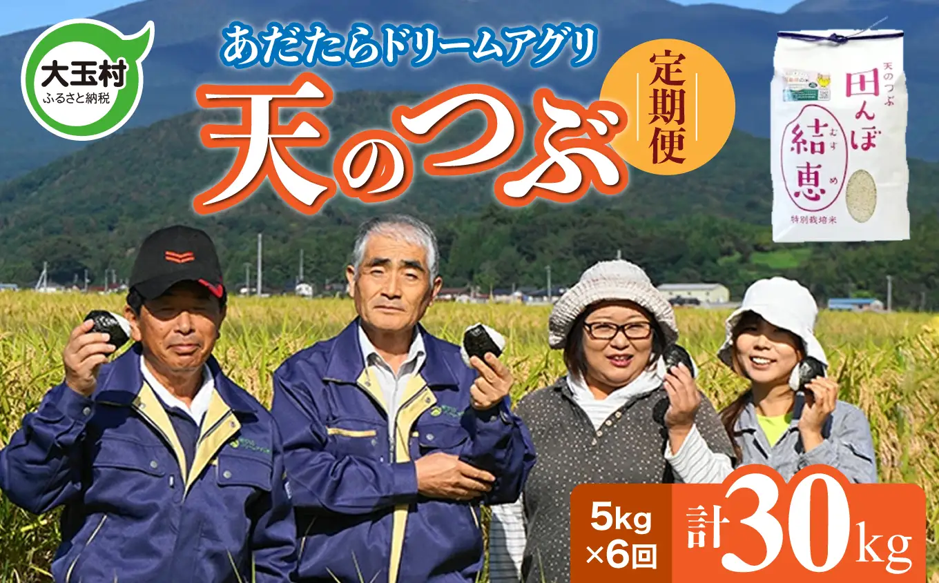 特別栽培米 30kg（毎月5kg×6回） 白米 天のつぶ 特別栽培米 精米