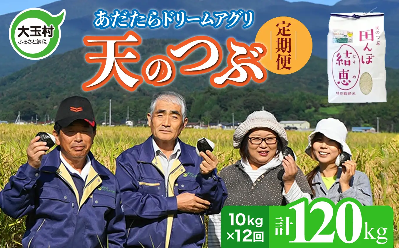 特別栽培米 120kg（毎月10kg×12回） 白米 天のつぶ 特別栽培米 精米