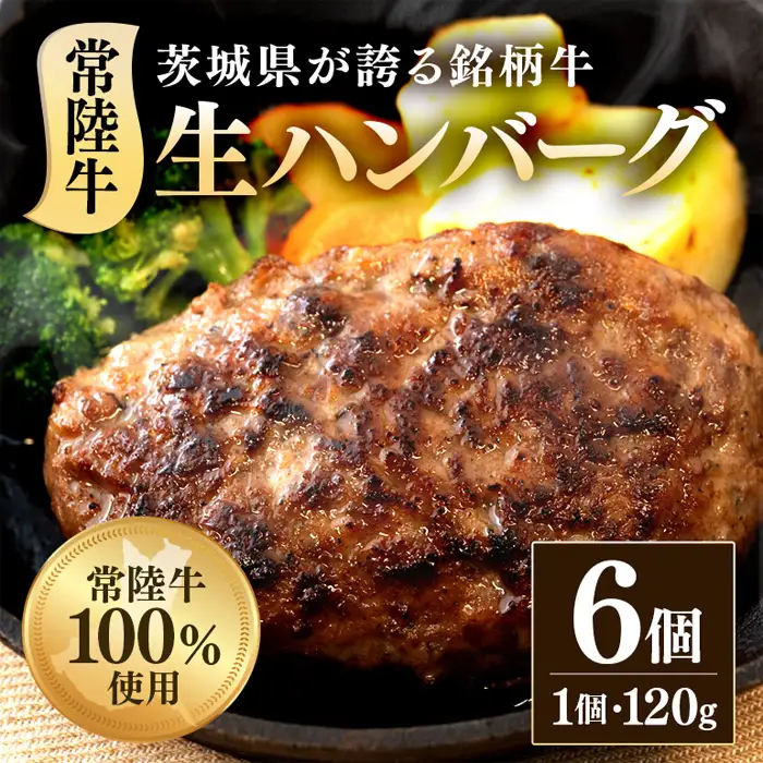 生ハンバーグ120g×6個 常陸牛 100％ 512