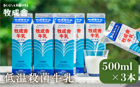 明治30年創業の牛乳屋　牧成舎の低温殺菌牛乳 500ml×3本セット 乳製品 牛乳パック 乳飲料 無添加 牧成舎 飛騨市