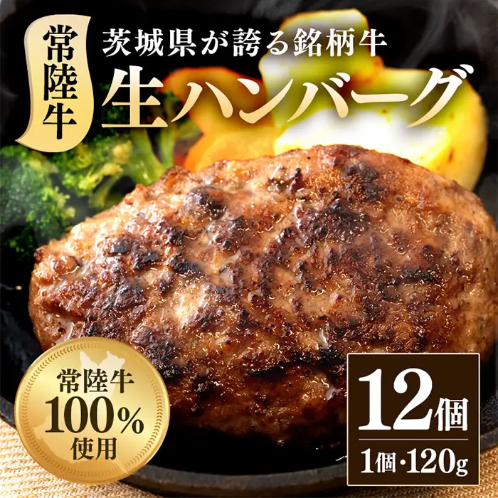 生ハンバーグ120g×12個 常陸牛 100％ 516