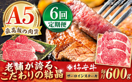 【6回定期便】最高級A5等級 三重県産 黒毛和牛 柿安牛 サーロインステーキ 600g / 国産牛 和牛 ブランド牛 牛肉 冷蔵 高級肉 ギフト 贅沢 / 亀山市 / 柿安本店 [AMBW025]