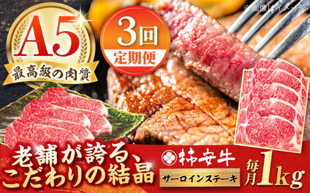 【3回定期便】最高級A5等級 三重県産 黒毛和牛 柿安牛 サーロインステーキ 1000g / 国産牛 和牛 ブランド牛 牛肉 冷蔵 高級肉 ギフト 贅沢 / 亀山市 / 柿安本店 [AMBW030]