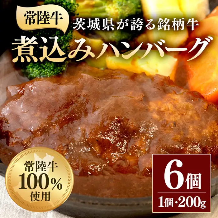 煮込みハンバーグ 200g×6個 茨城県 ブランド牛 常陸牛 使用 520