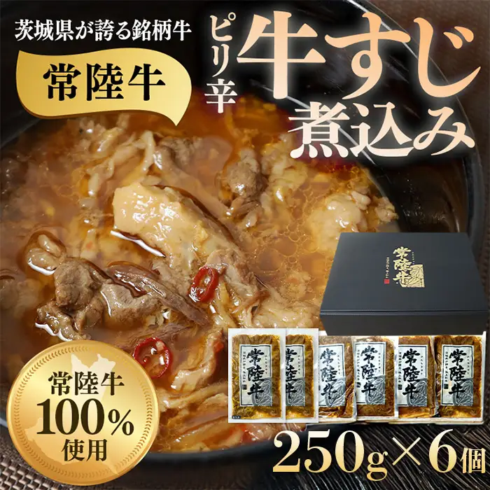 牛すじ煮込み 1.5kg 250g×6個 ピリ辛 茨城県産 ブランド牛 常陸牛 使用 523