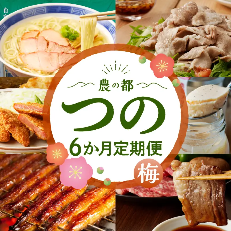 ≪6か月お楽しみ定期便≫都農町定期便(梅) 肉 加工品 デザート 国産_T999-0056