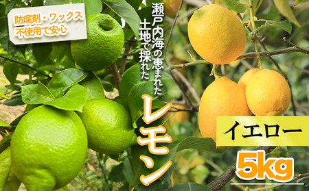 【レモン】【2027年1月頃から順次発送】イエローレモン　約5kg ｜愛媛県松山市【MSD003_y】