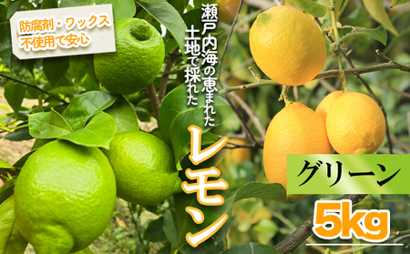 【レモン】【2026年10月頃から順次発送】グリーンレモン 約5kg ｜愛媛県松山市【MSD003_g】