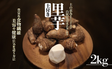 【2026年10月頃から順次発送】里芋(愛媛農試V2号) 2kg | 期間限定 さといも 里芋 サトイモ 国産 愛媛県産 ブランド えひめ 松山市 松山市ふるさと納税返礼品【MSD004】