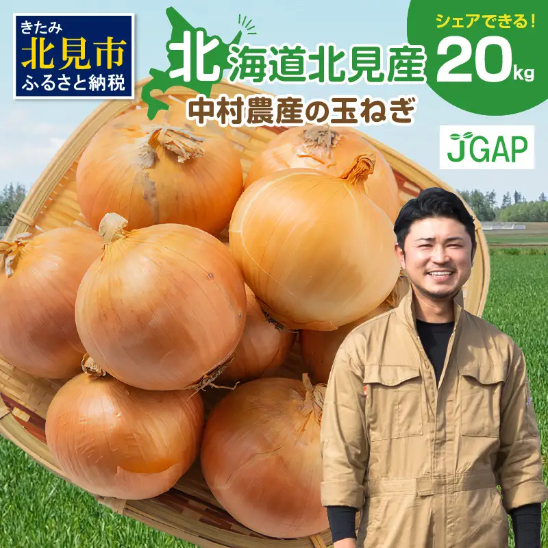 【予約：2026年10月から順次発送】北海道北見産 玉ねぎ 20kg ( 玉ねぎ 野菜 たまねぎ タマネギ 玉葱 甘い 20キロ ハンバーグ 肉じゃが ふるさと納税 玉ねぎ )【002-0005-2026】